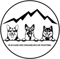 Les Seigneurs de Montbel