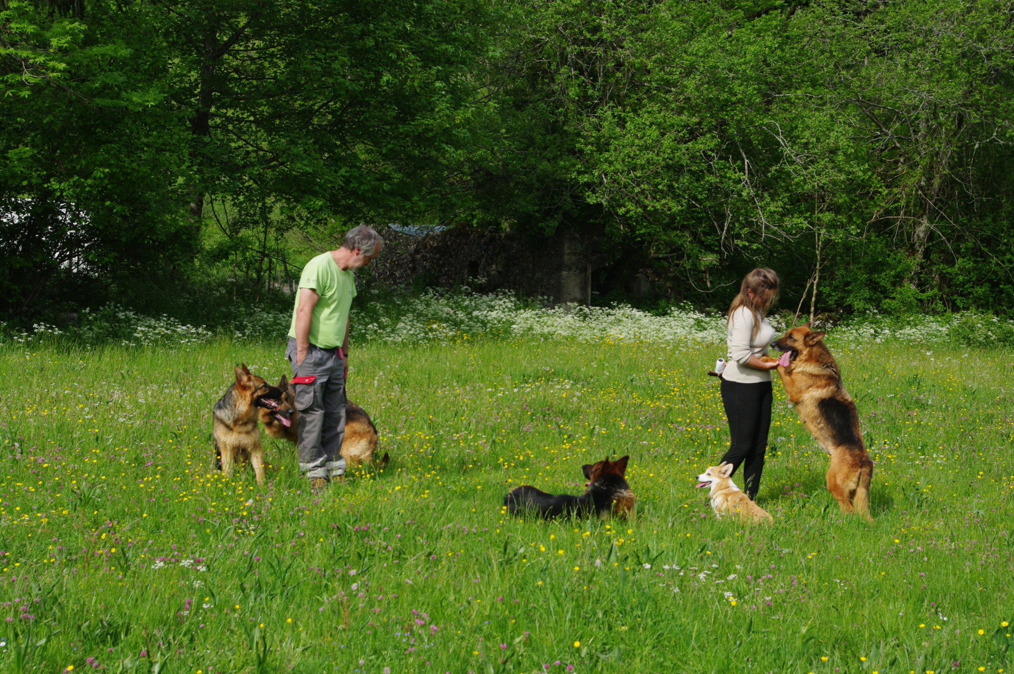 Visiter l&rsquo;élevage - Des Seigneurs de Montbel