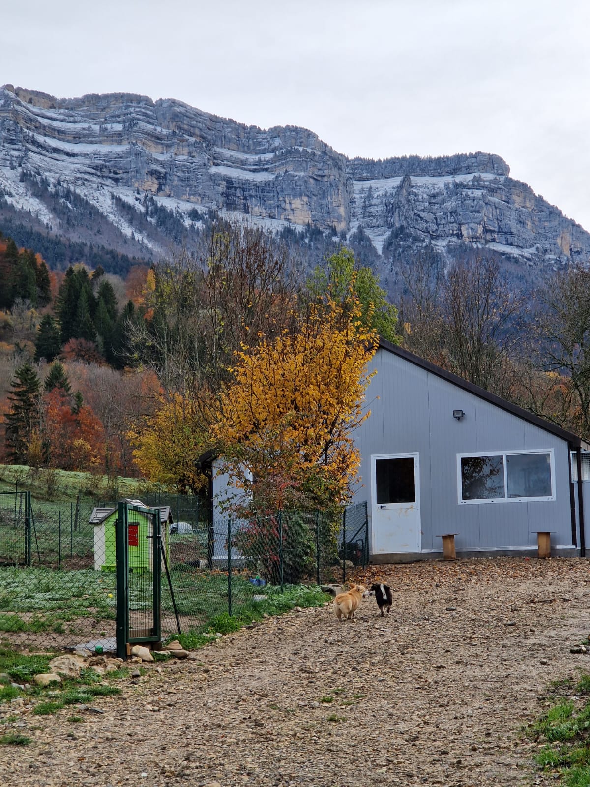 Visiter l&rsquo;élevage - Des Seigneurs de Montbel
